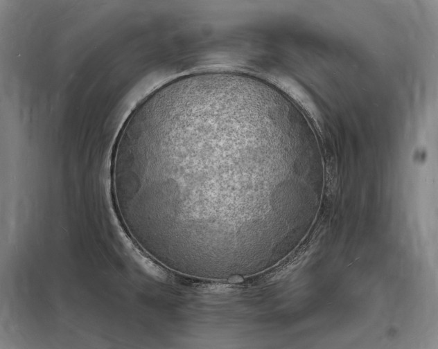 X0000098231431200805011247