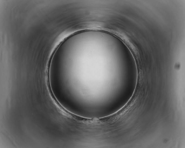 X0000098231432200805011247