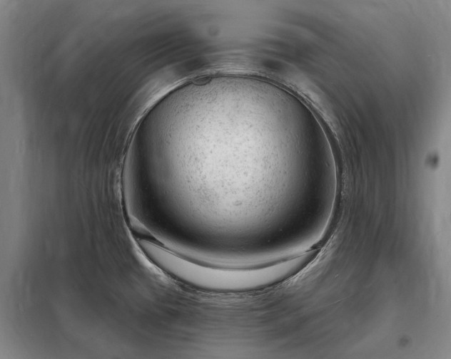 X0000098231433200805011247