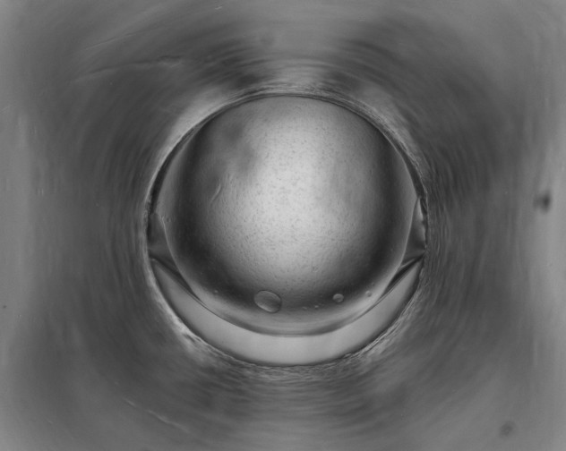 X0000098231434200805011247