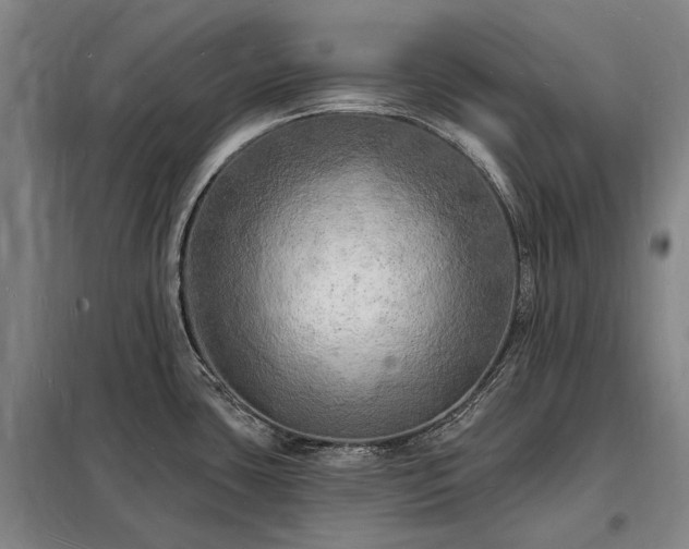 X0000098231435200805011247