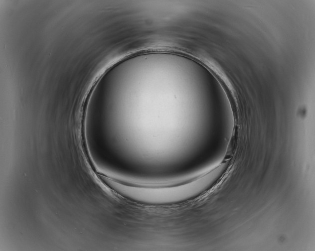 X0000098231437200805011247