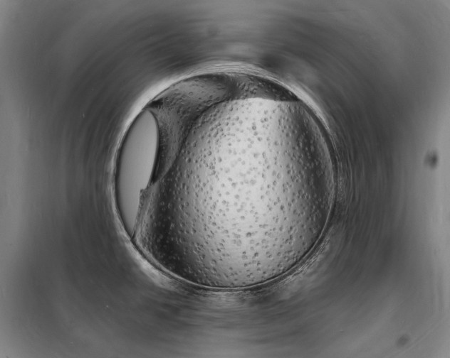 X0000098231438200805011247