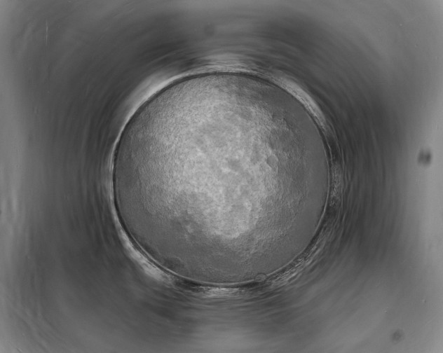 X0000098231439200805011247