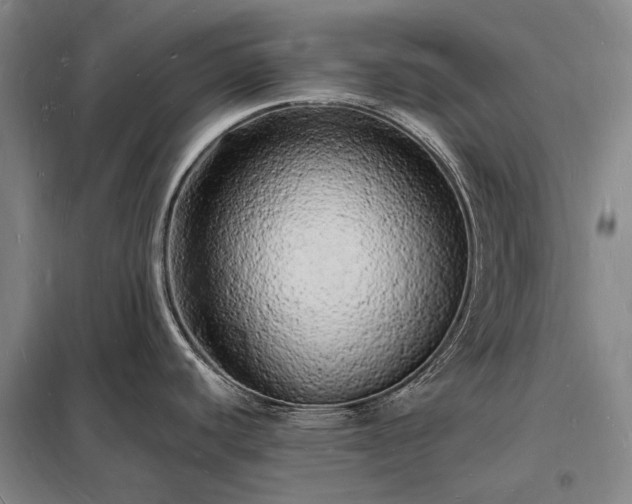 X0000098231440200805011247
