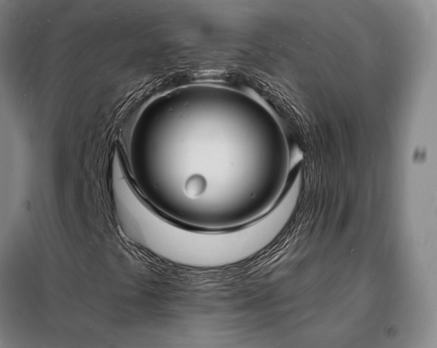 X0000098231441200805011246