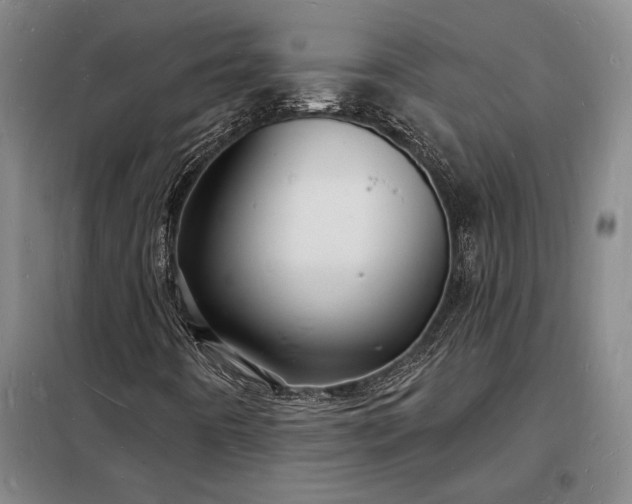 X0000098231442200805011246