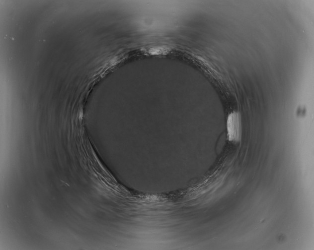 X0000098231443200805011246