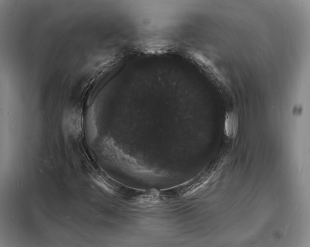 X0000098231444200805011246