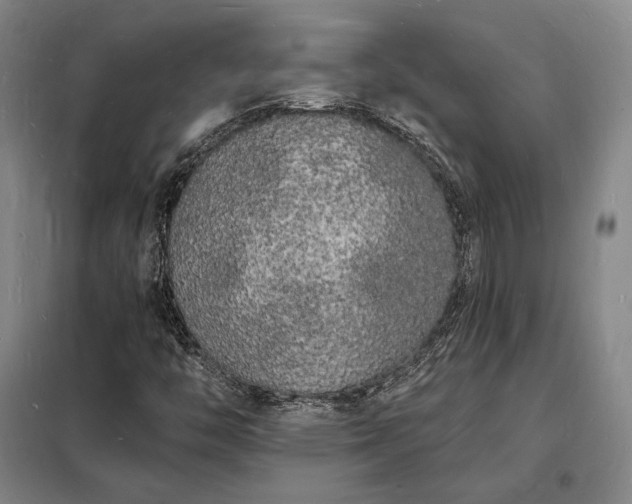 X0000098231446200805011246