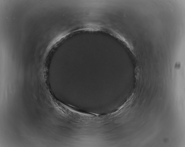 X0000098231448200805011246