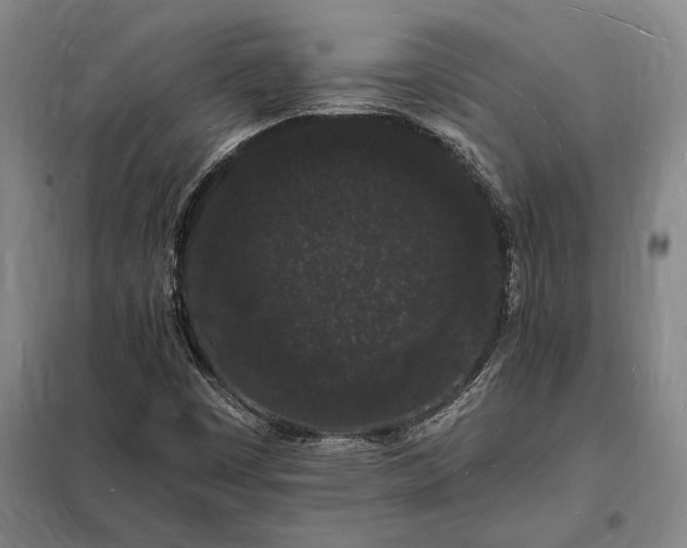 X0000098231449200805011246