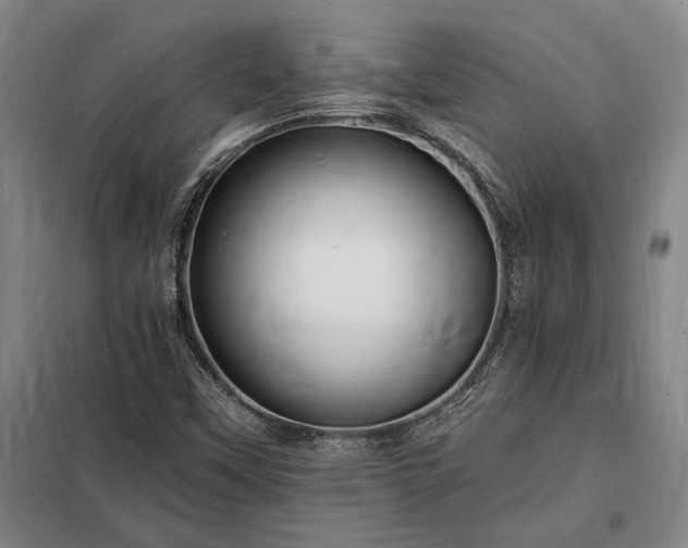 X0000098231451200805011246