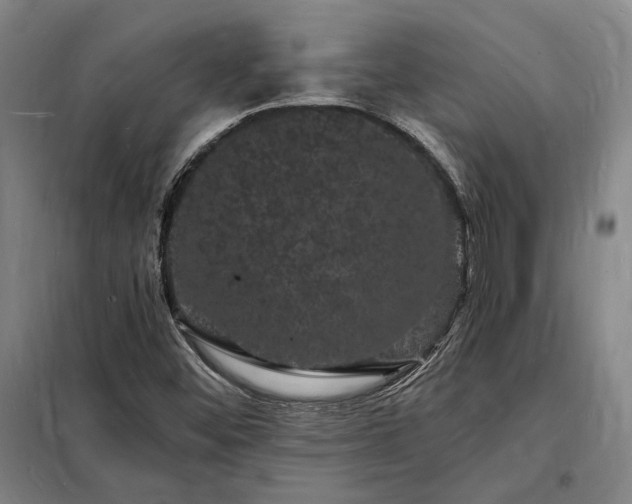 X0000098231452200805011246