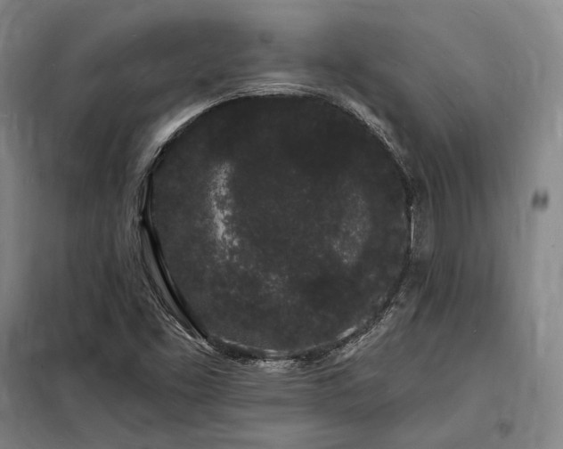X0000098231453200805011246