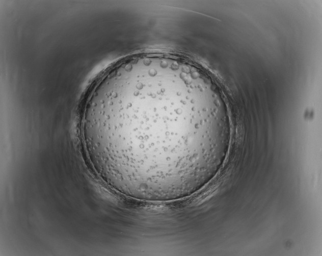 X0000098231454200805011246