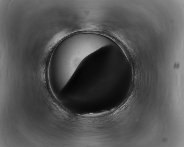 X0000098231455200805011246