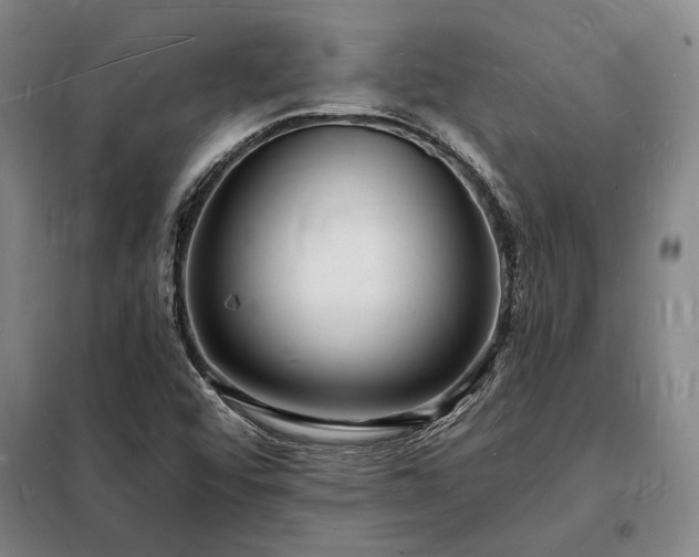 X0000098231456200805011246