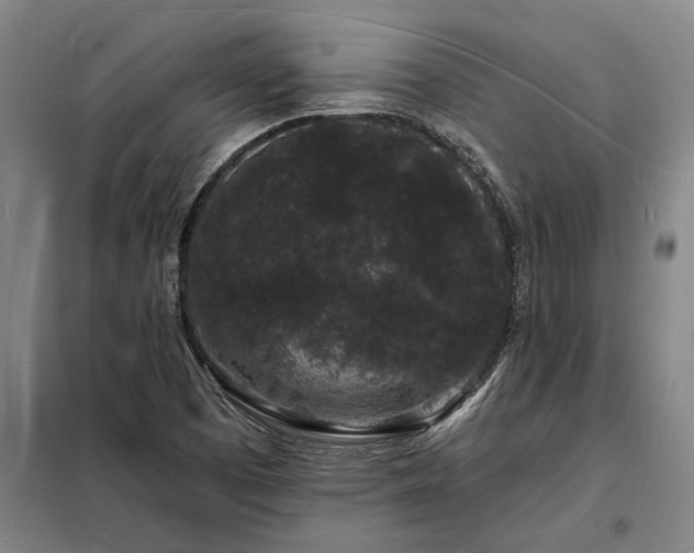 X0000098231457200805011246