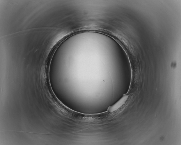 X0000098231458200805011246