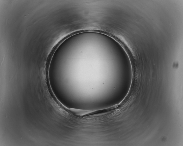 X0000098231460200805011246