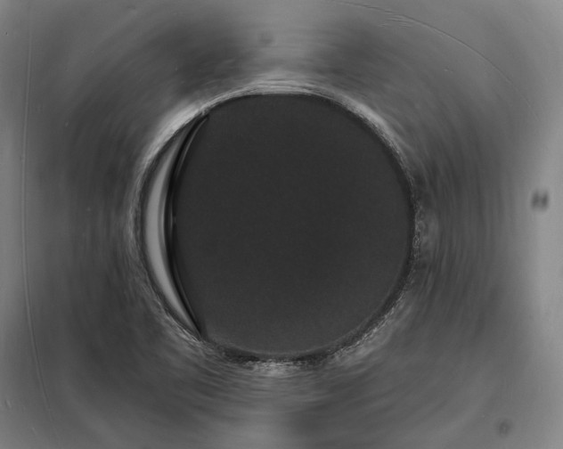 X0000098231461200805011246
