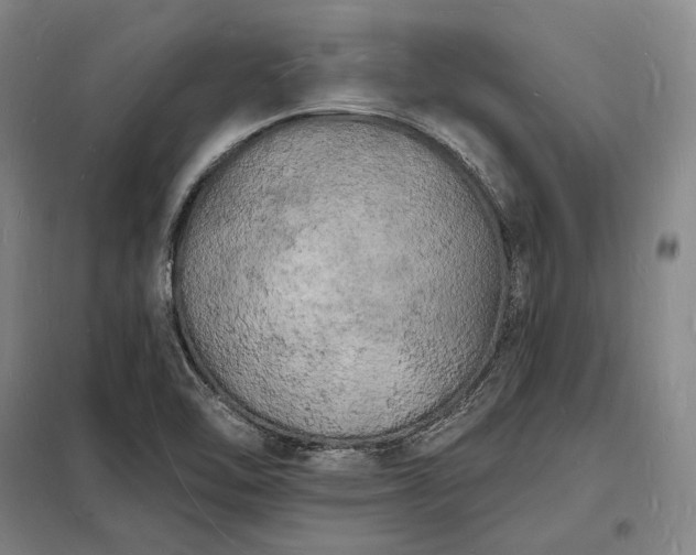 X0000098231462200805011246