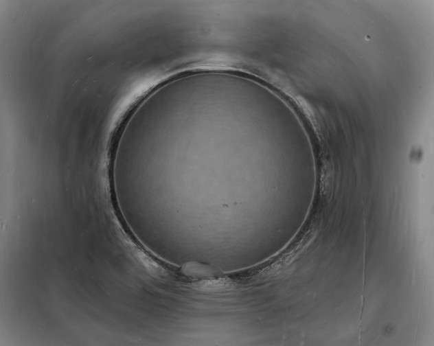 X0000098231464200805011246