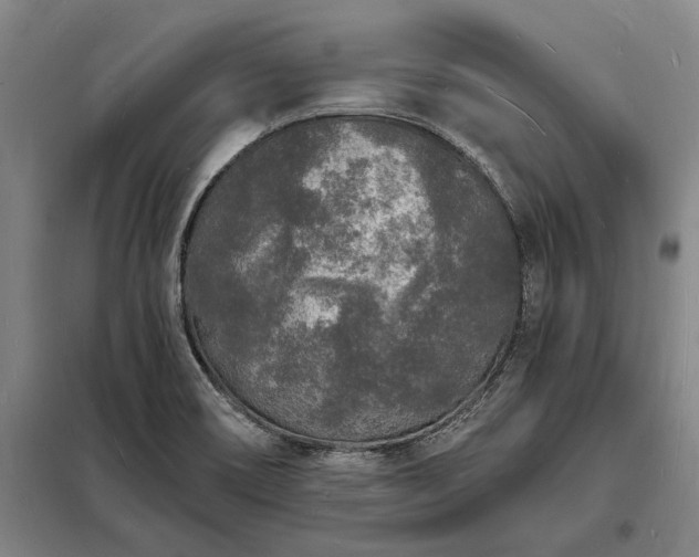 X0000098231466200805011246