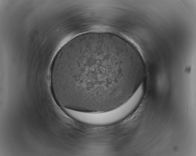 X0000098231467200805011246
