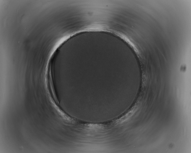 X0000098231469200805011246