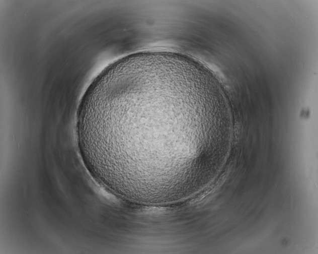 X0000098231470200805011246