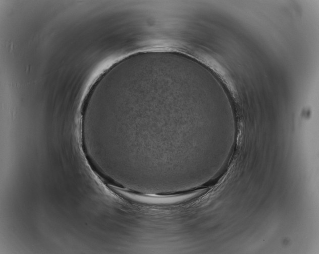 X0000098231472200805011246