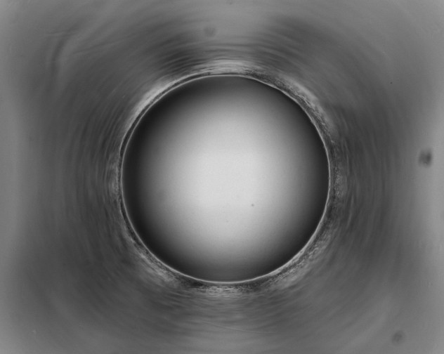 X0000098231473200805011246
