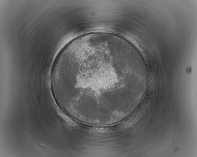 X0000098231474200805011246