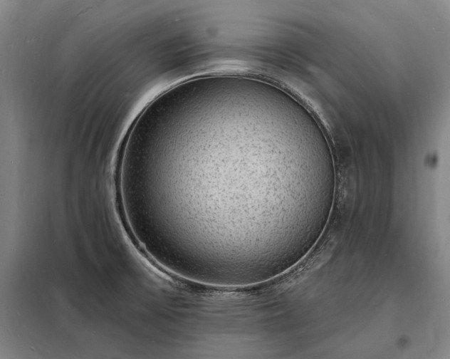 X0000098231475200805011246