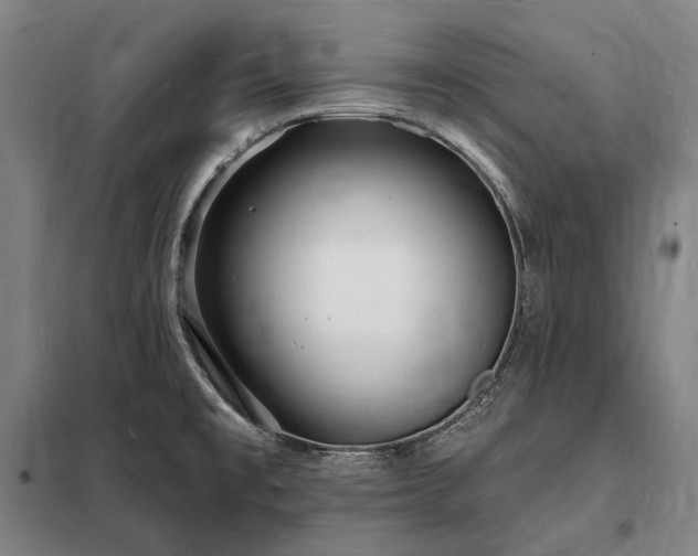 X0000098231477200805011246
