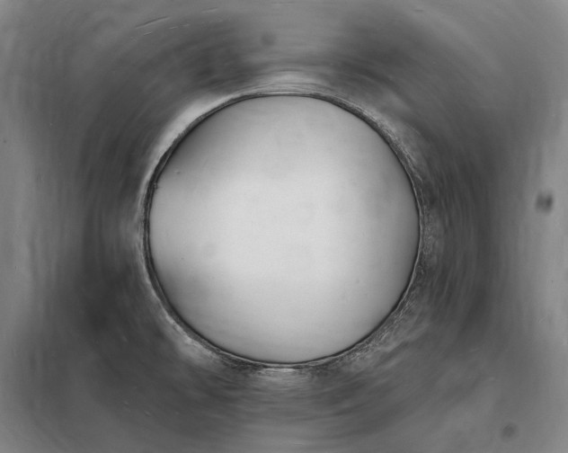 X0000098231478200805011246