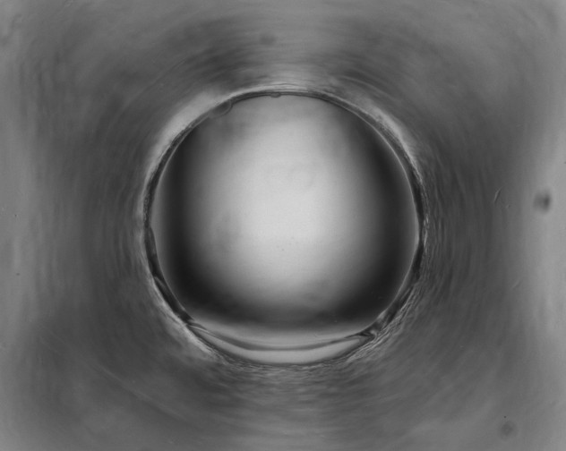X0000098231480200805011246