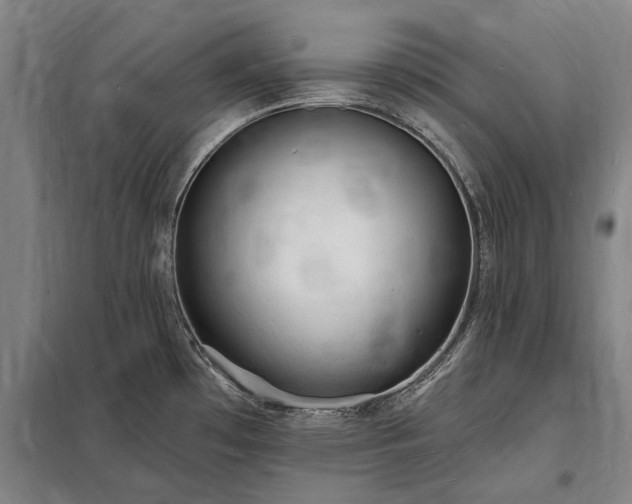X0000098231481200805011246