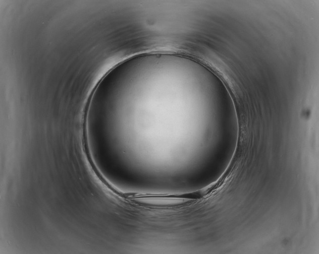 X0000098231483200805011246