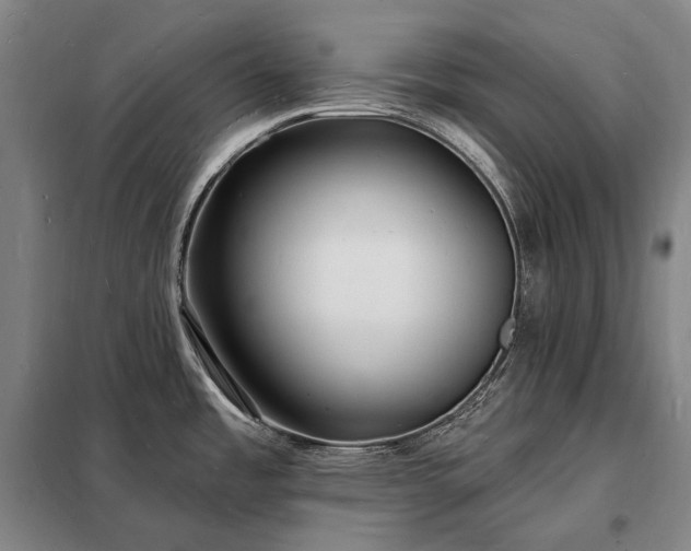 X0000098231485200805011246