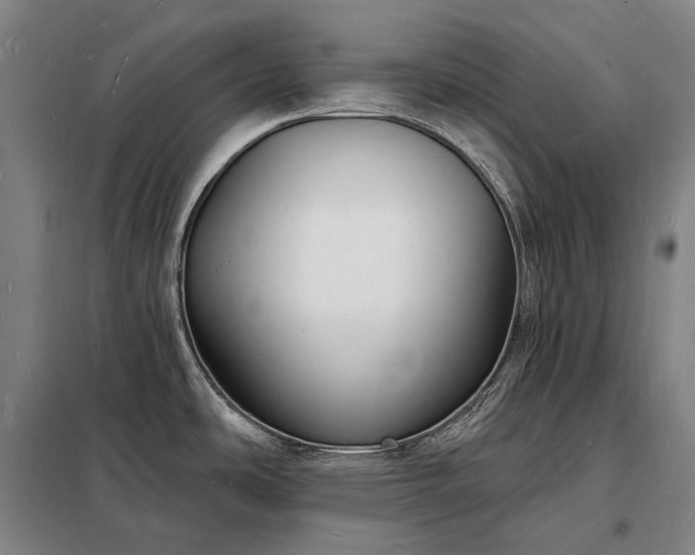 X0000098231486200805011246