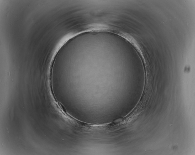 X0000098231488200805011246