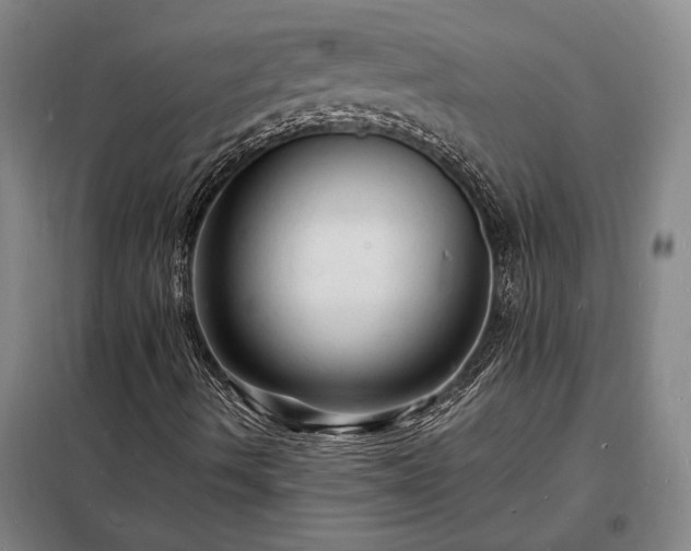X0000098231490200805011245