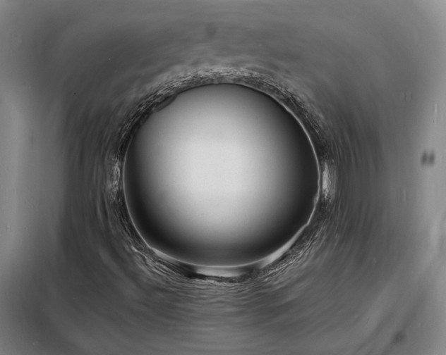 X0000098231492200805011245