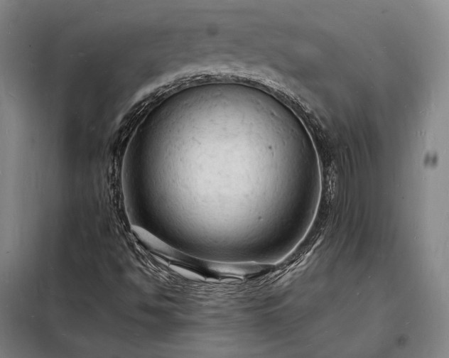 X0000098231494200805011245
