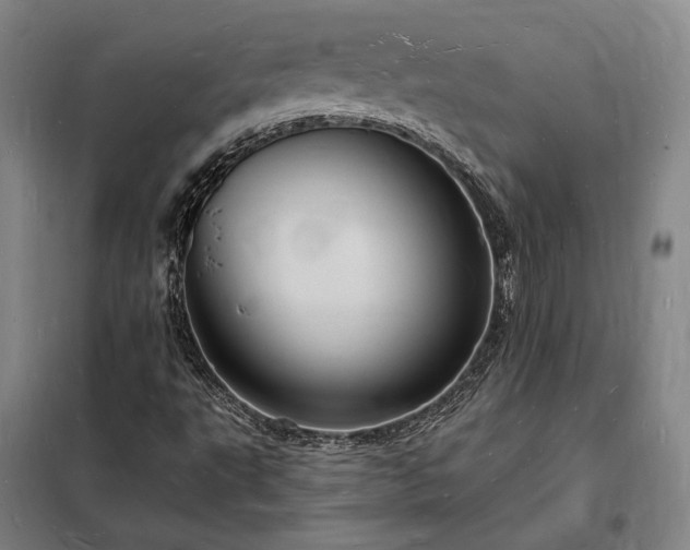 X0000098231495200805011245