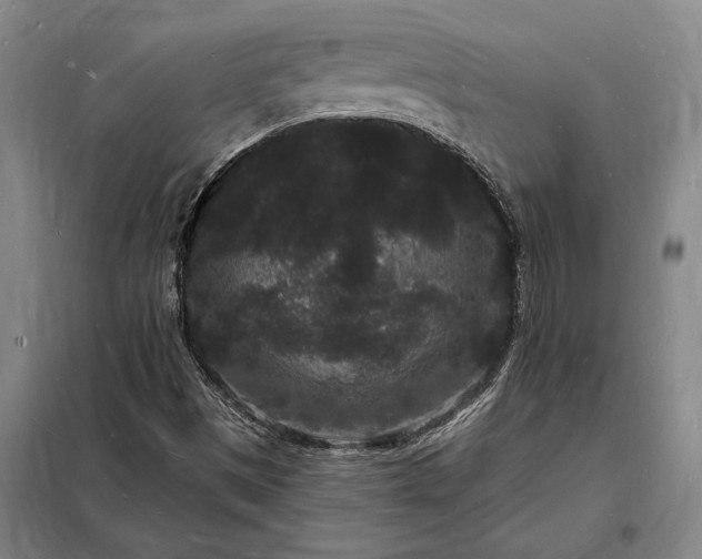 X0000098231497200805011245