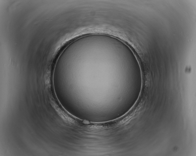 X0000098231499200805011245